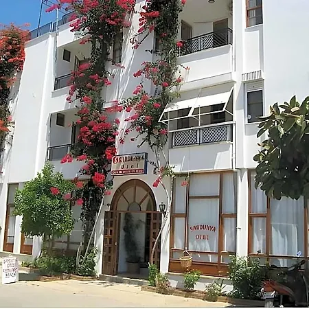 Sardunya Szálloda 4*