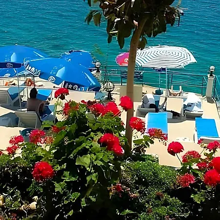 Sardunya Kaş