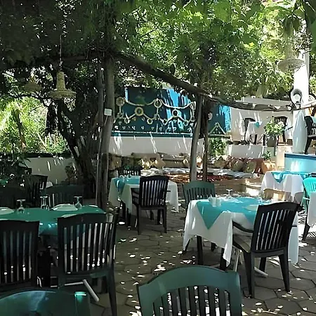 Sardunya Kaş